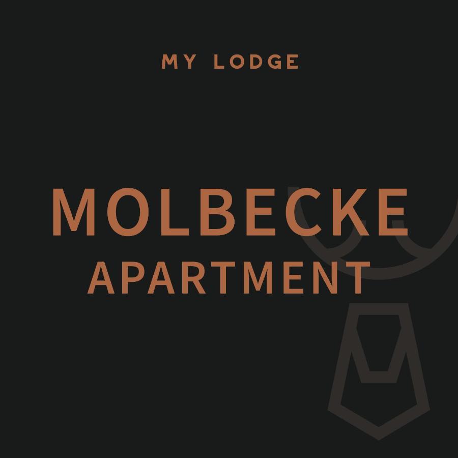 My Lodge Winterberg Værelse billede